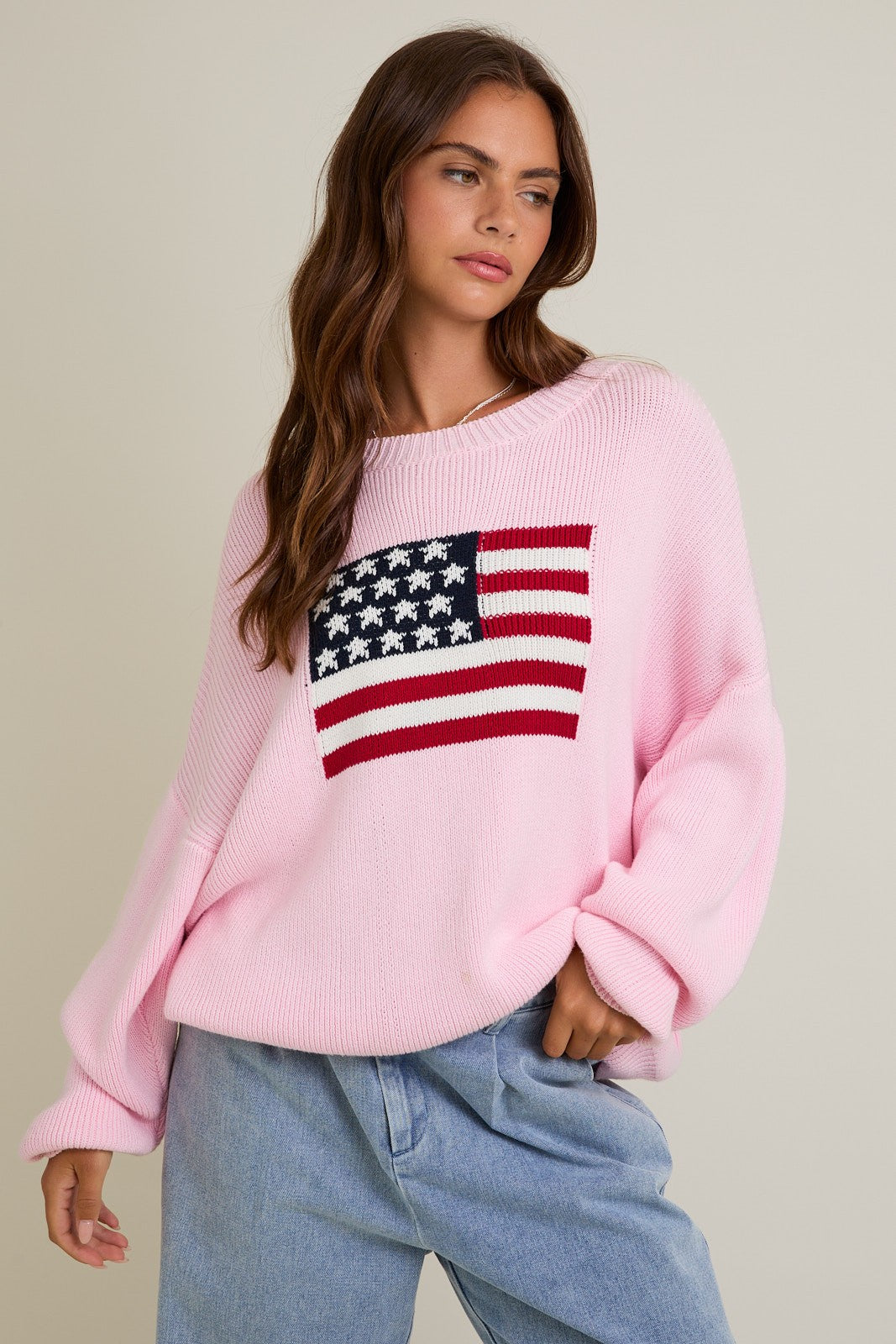 Round Neck Over Sized Sweater Top