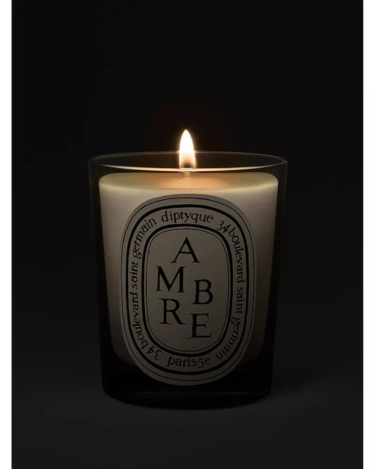 DIPTYQUE Ambre (Amber) Scented Candle 10.2 oz