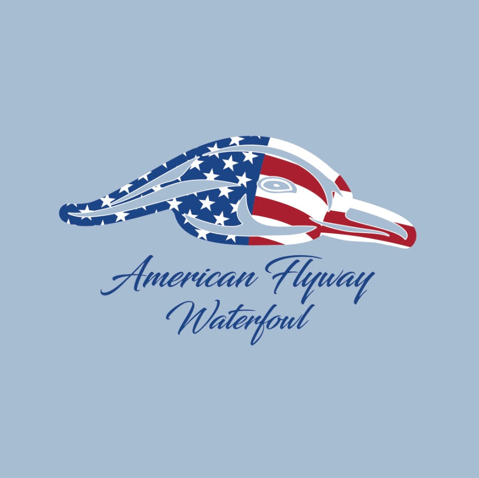 Stars and Stripes Tee - Light Blue