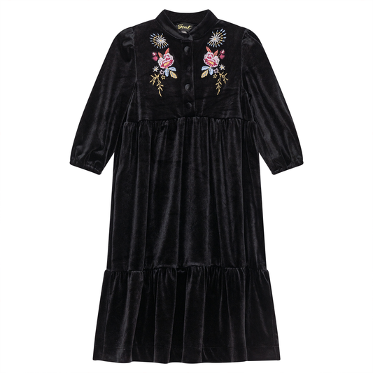 Floral Embroidered Velour Maxi Dress