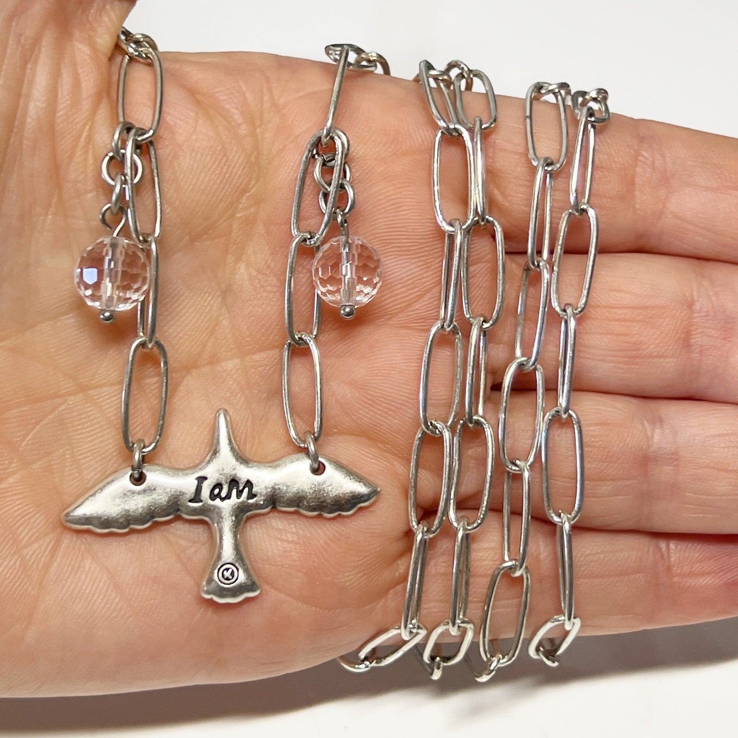 I Am Bird Long Chain Necklace